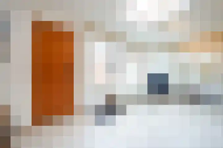 Molenlaan 21 Susteren thumbnail 11