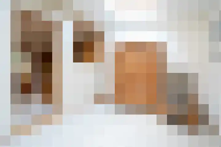 Molenlaan 21 Susteren thumbnail 13