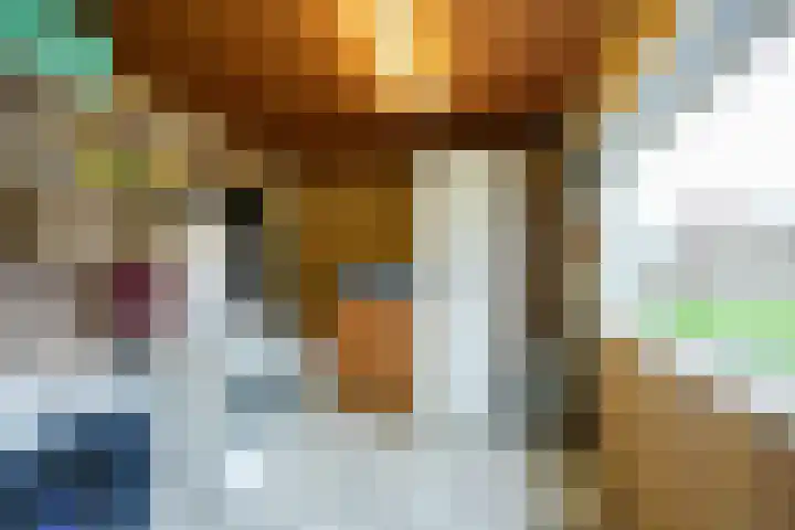 Molenlaan 21 Susteren thumbnail 14