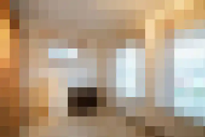 Molenlaan 21 Susteren thumbnail 18