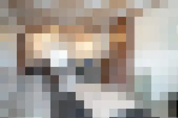Molenlaan 21 Susteren thumbnail 4