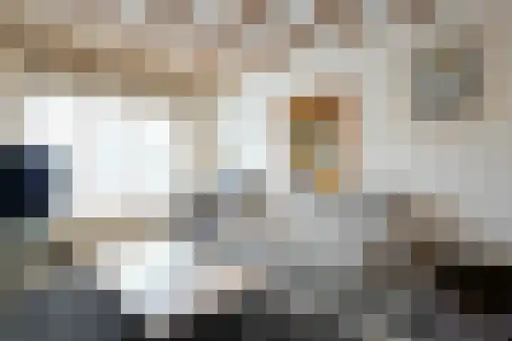 Molenlaan 21 Susteren thumbnail 5