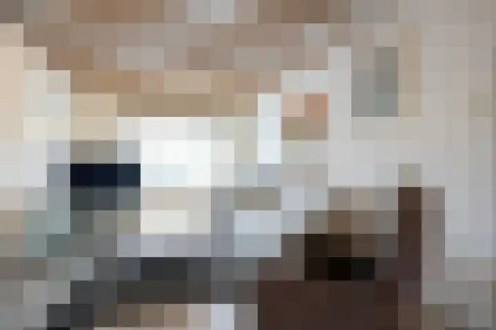 Molenlaan 21 Susteren thumbnail 6