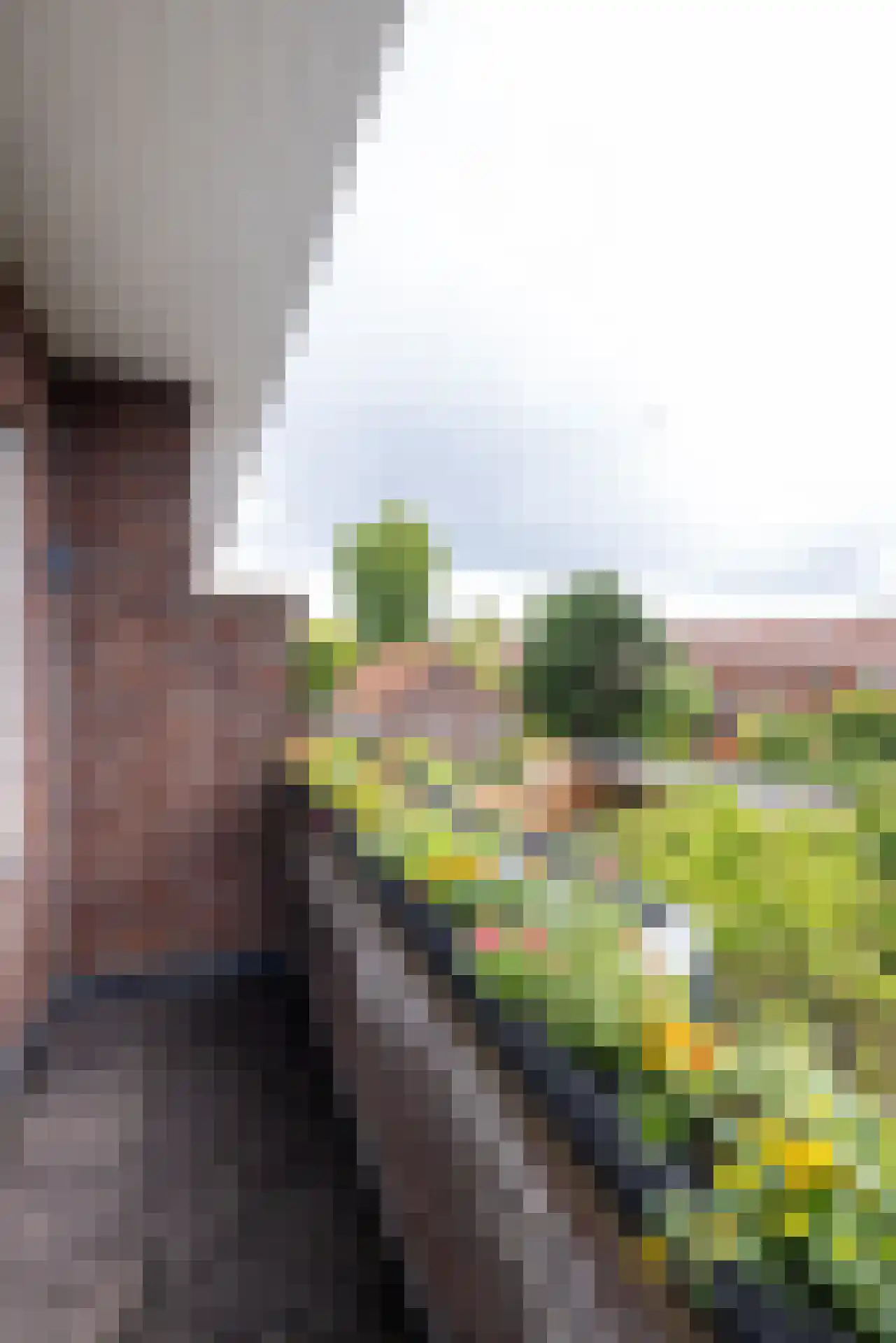 Molenlaan 218 Rotterdam thumbnail 19