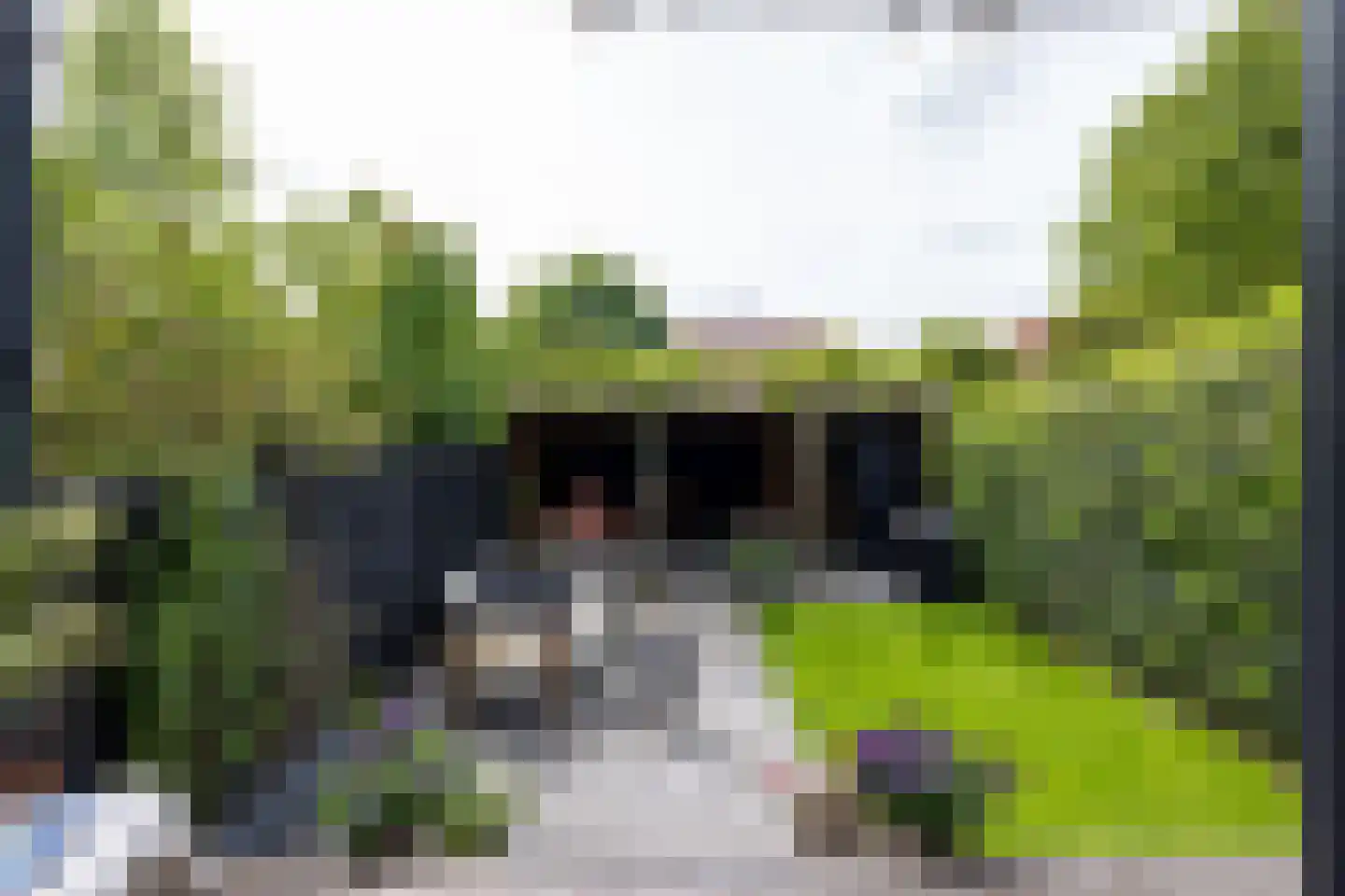 Molenlaan 218 Rotterdam thumbnail 36