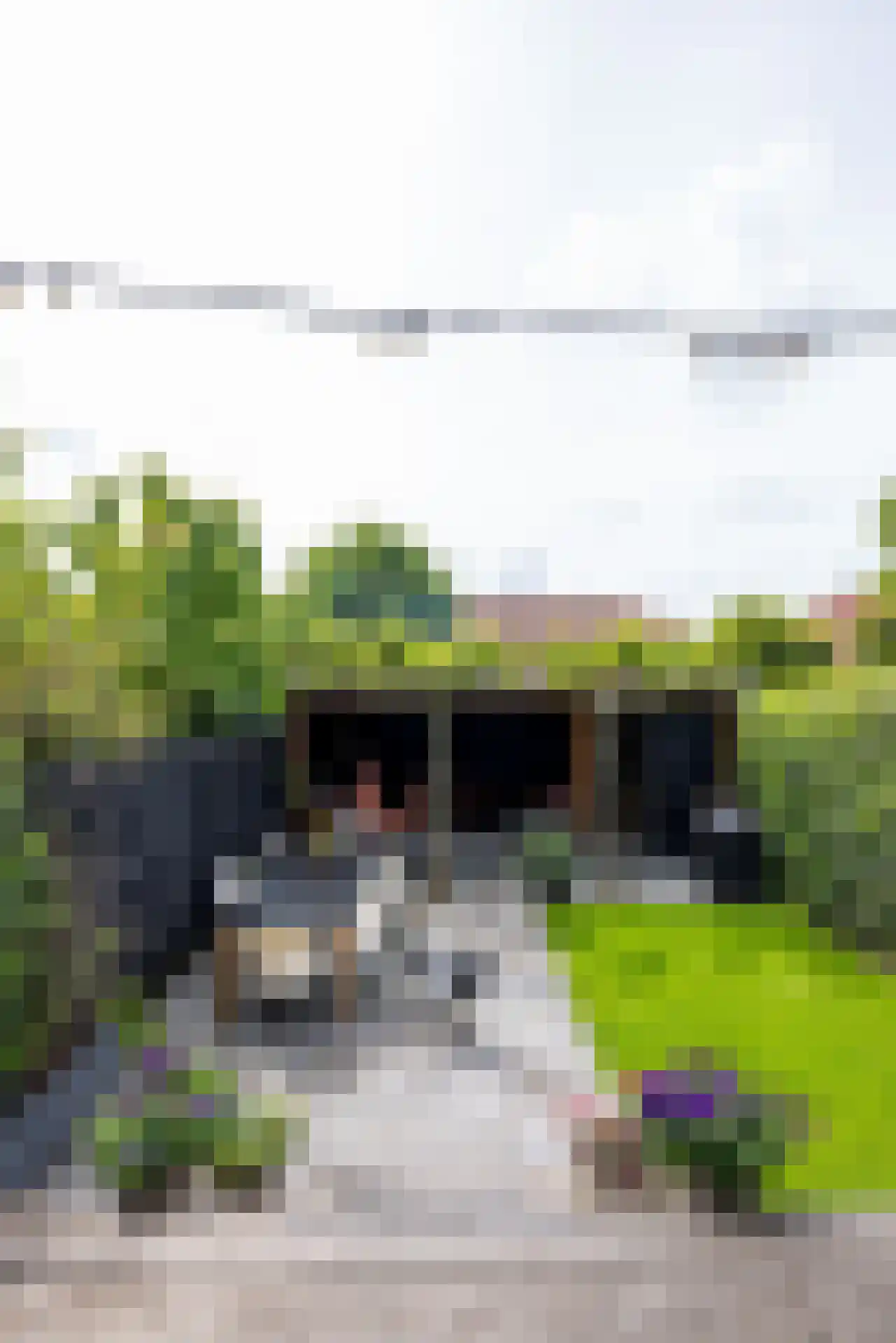 Molenlaan 218 Rotterdam thumbnail 39