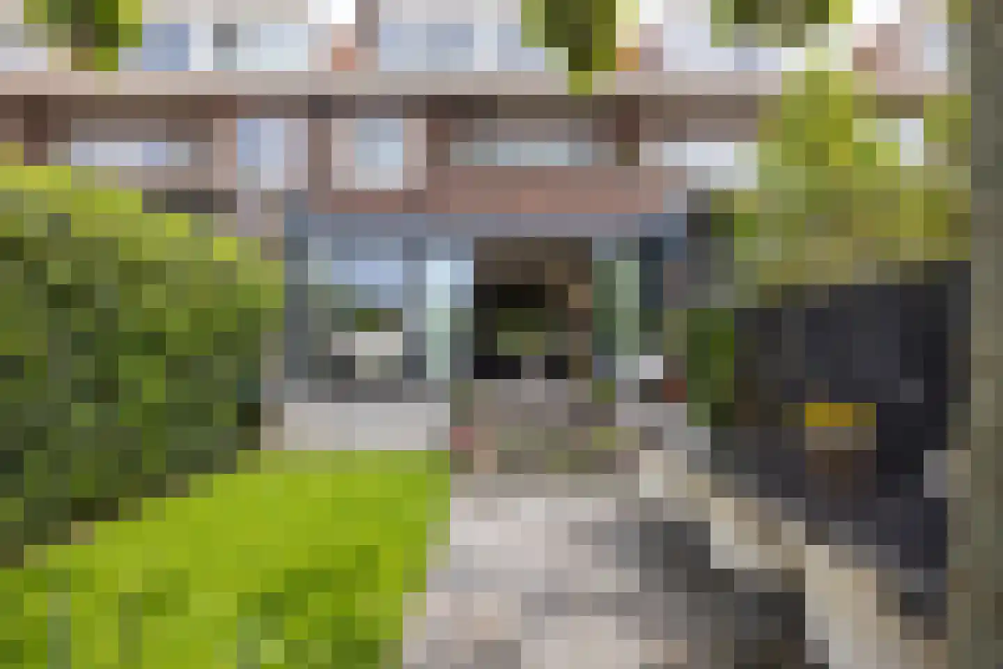 Molenlaan 218 Rotterdam thumbnail 4