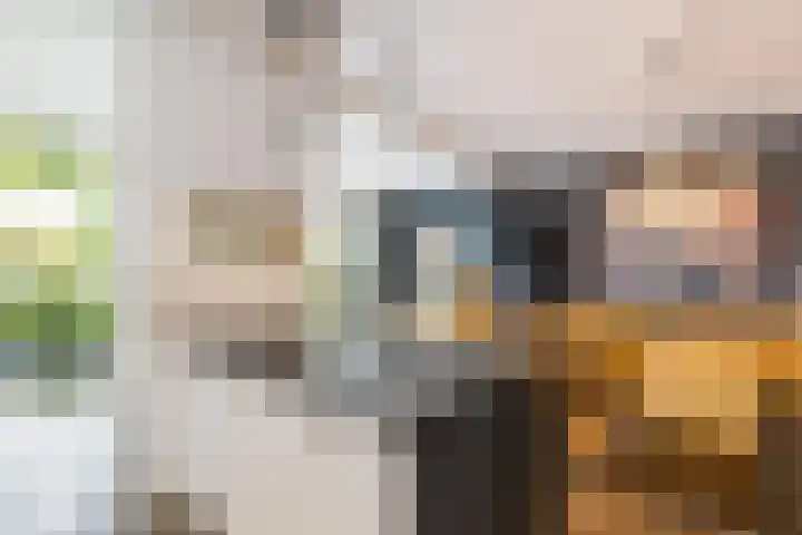 Molenlaan 220 Rotterdam thumbnail 14
