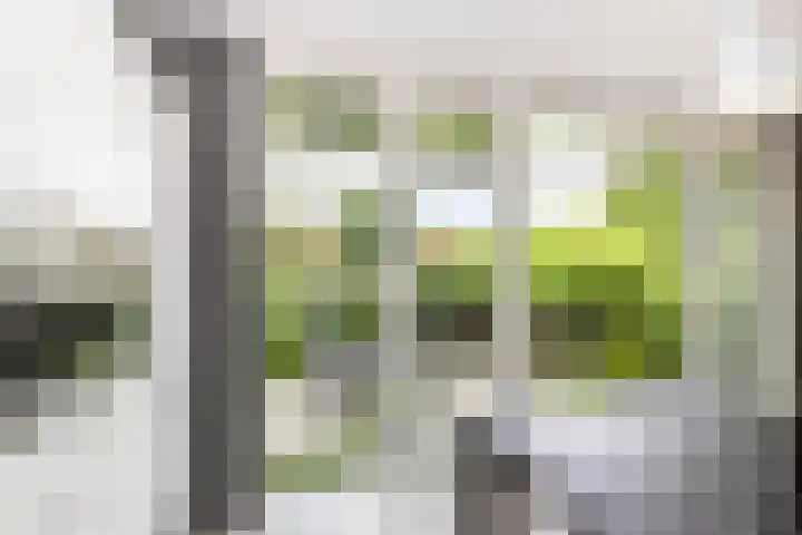 Molenlaan 220 Rotterdam thumbnail 15