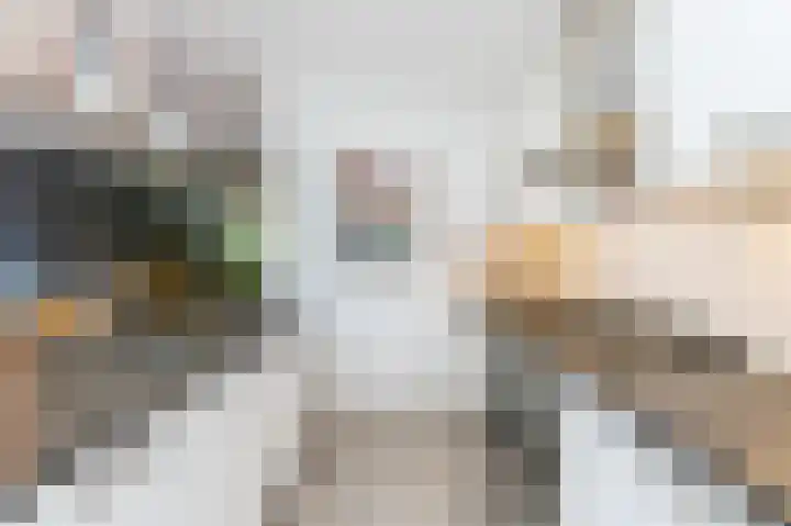 Molenlaan 220 Rotterdam thumbnail 17