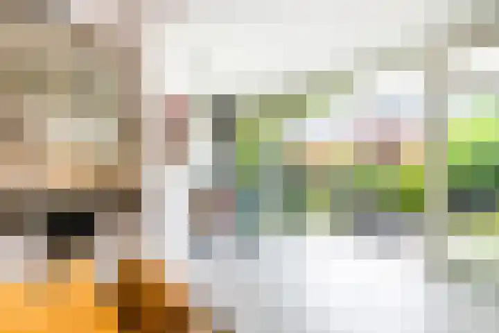 Molenlaan 220 Rotterdam thumbnail 19