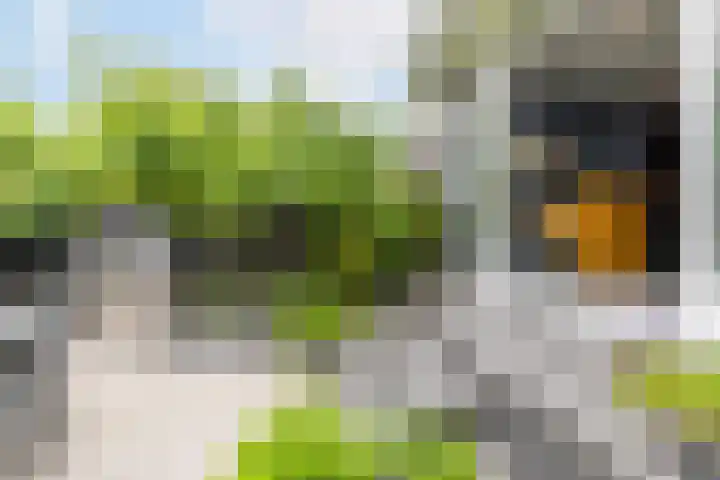 Molenlaan 220 Rotterdam thumbnail 20