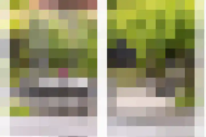 Molenlaan 220 Rotterdam thumbnail 22