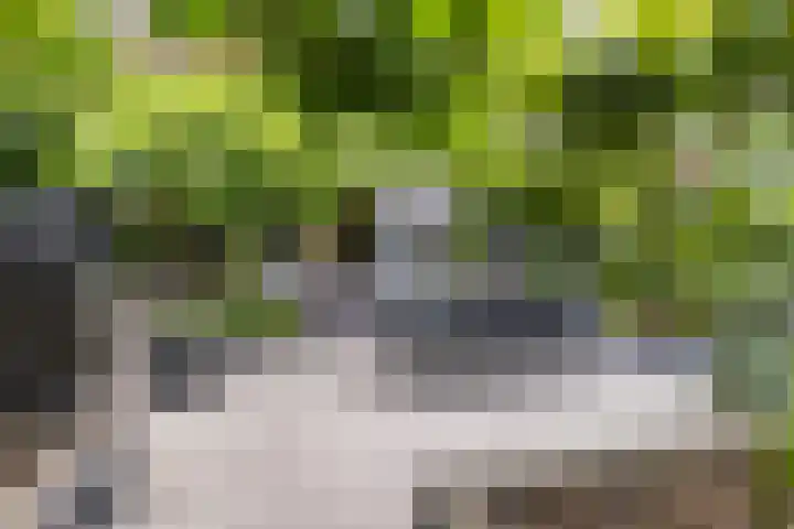 Molenlaan 220 Rotterdam thumbnail 23