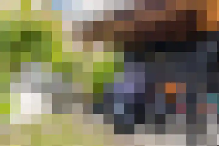 Molenlaan 220 Rotterdam thumbnail 24