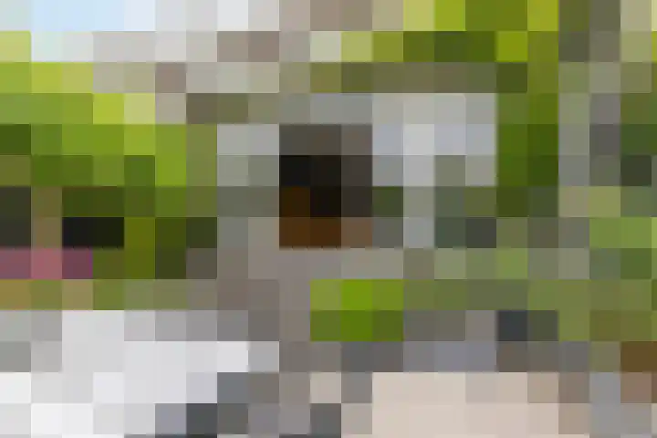 Molenlaan 220 Rotterdam thumbnail 26