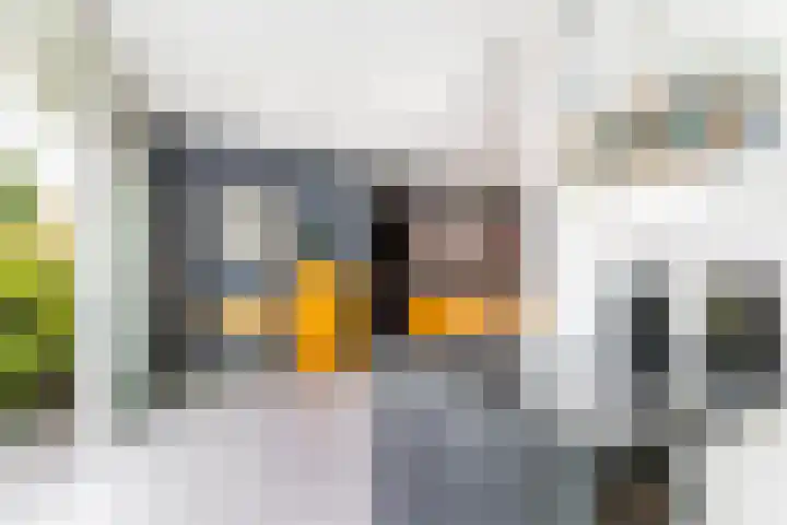 Molenlaan 220 Rotterdam thumbnail 28