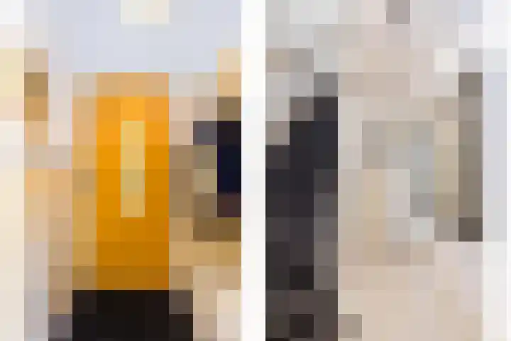 Molenlaan 220 Rotterdam thumbnail 30