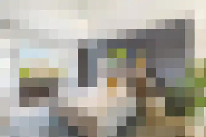Molenlaan 220 Rotterdam thumbnail 32