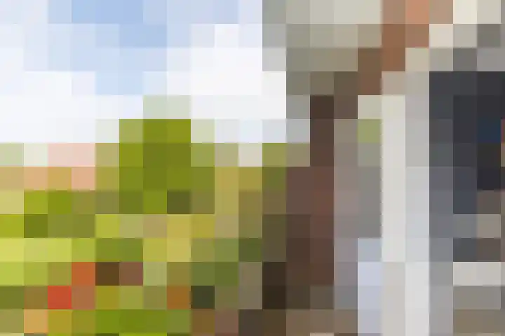 Molenlaan 220 Rotterdam thumbnail 33