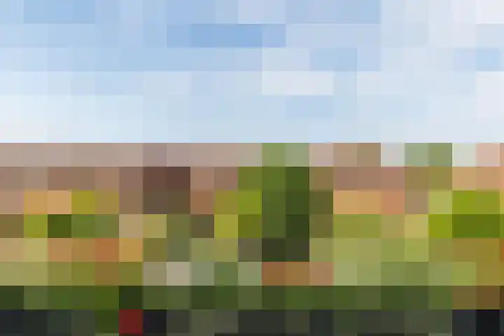 Molenlaan 220 Rotterdam thumbnail 34