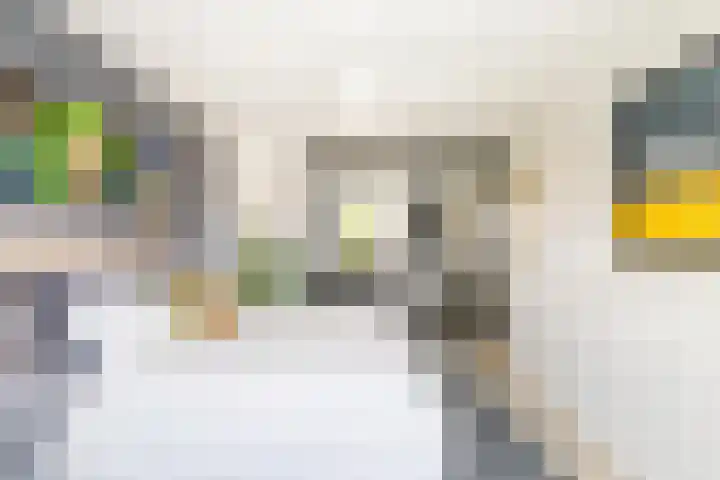 Molenlaan 220 Rotterdam thumbnail 35