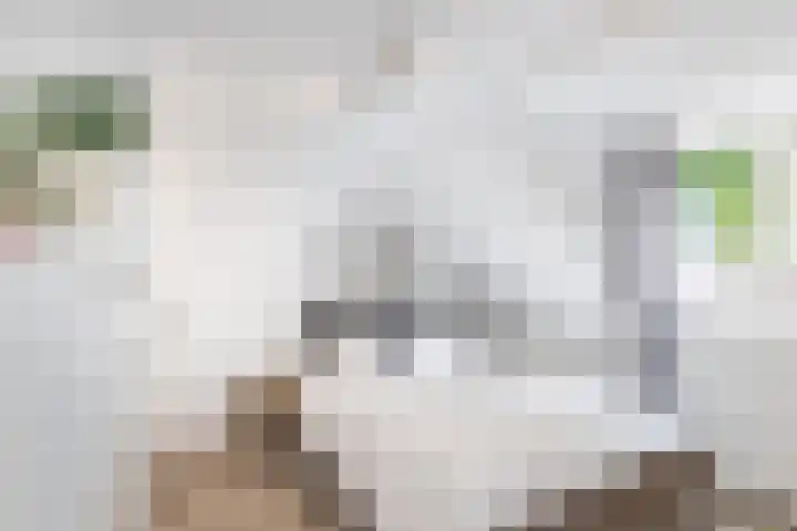 Molenlaan 220 Rotterdam thumbnail 43