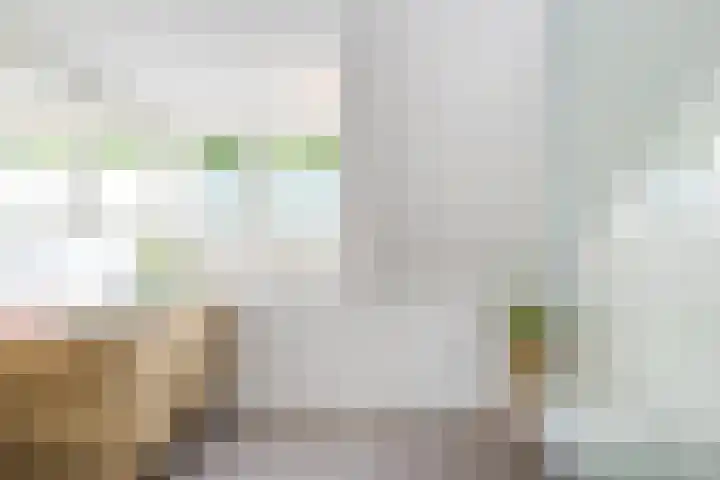 Molenlaan 220 Rotterdam thumbnail 46