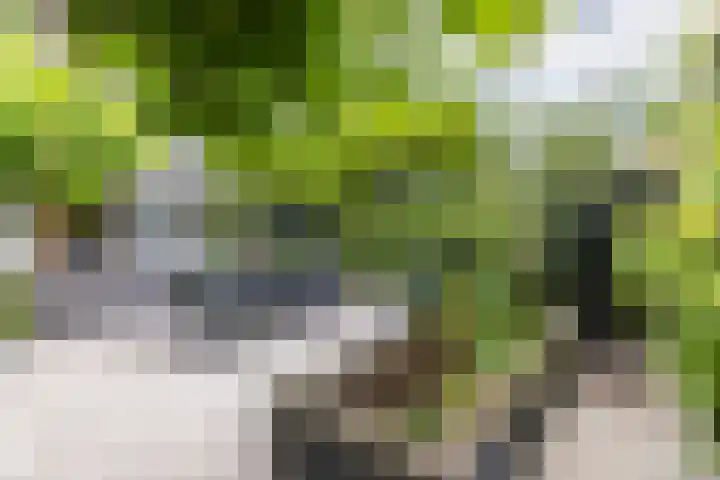 Molenlaan 220 Rotterdam thumbnail 48
