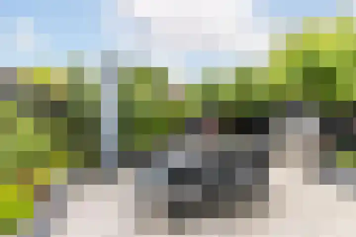 Molenlaan 220 Rotterdam thumbnail 49