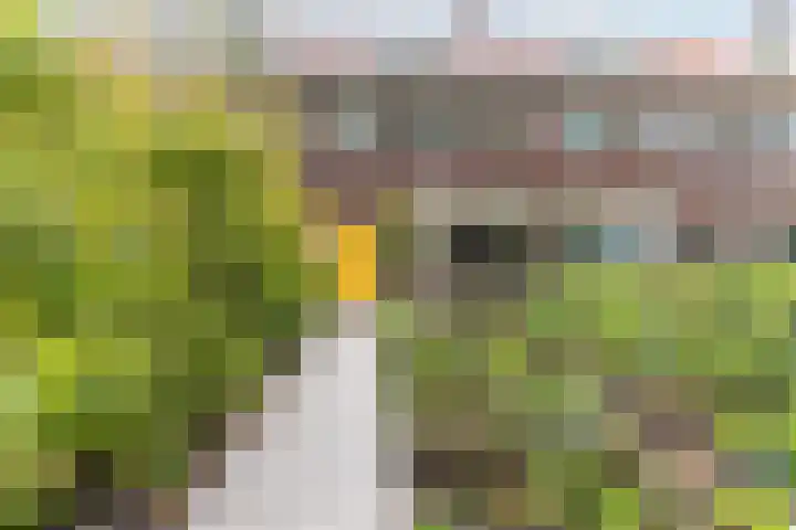 Molenlaan 220 Rotterdam thumbnail 5