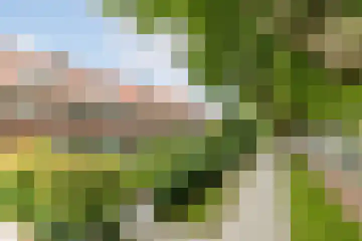 Molenlaan 220 Rotterdam thumbnail 53