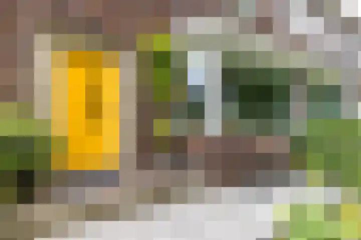 Molenlaan 220 Rotterdam thumbnail 6