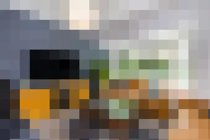 Molenlaan 220 Rotterdam thumbnail 9