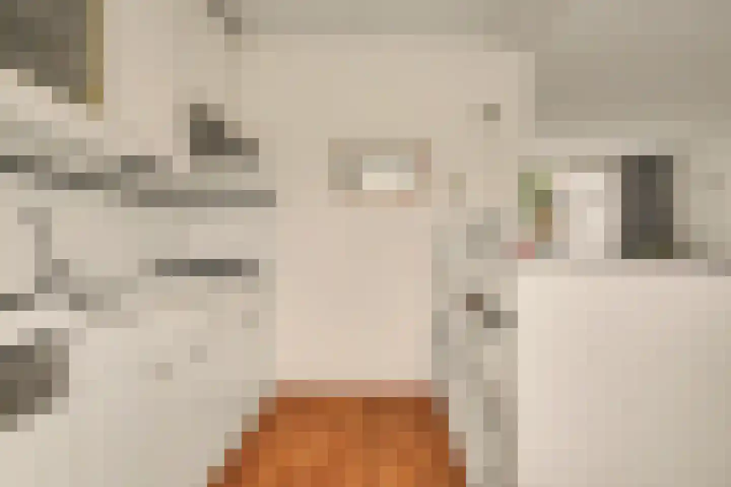 Molenlaan 24 Maasdam thumbnail 10