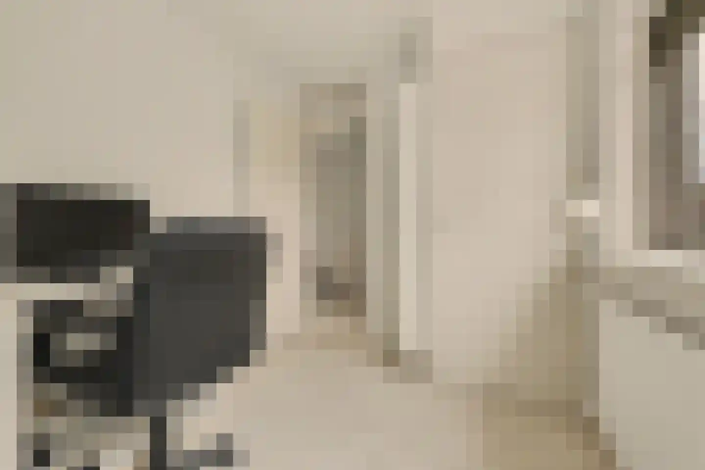 Molenlaan 24 Maasdam thumbnail 13