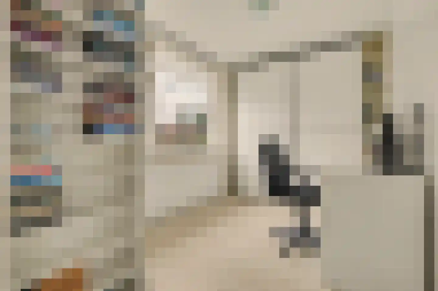 Molenlaan 24 Maasdam thumbnail 14