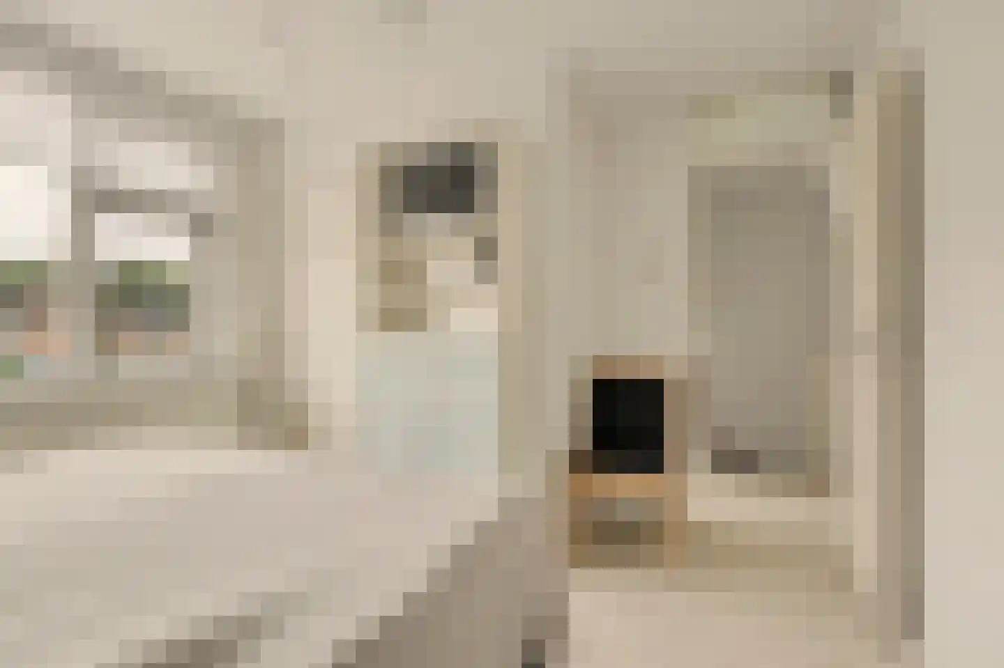 Molenlaan 24 Maasdam thumbnail 15