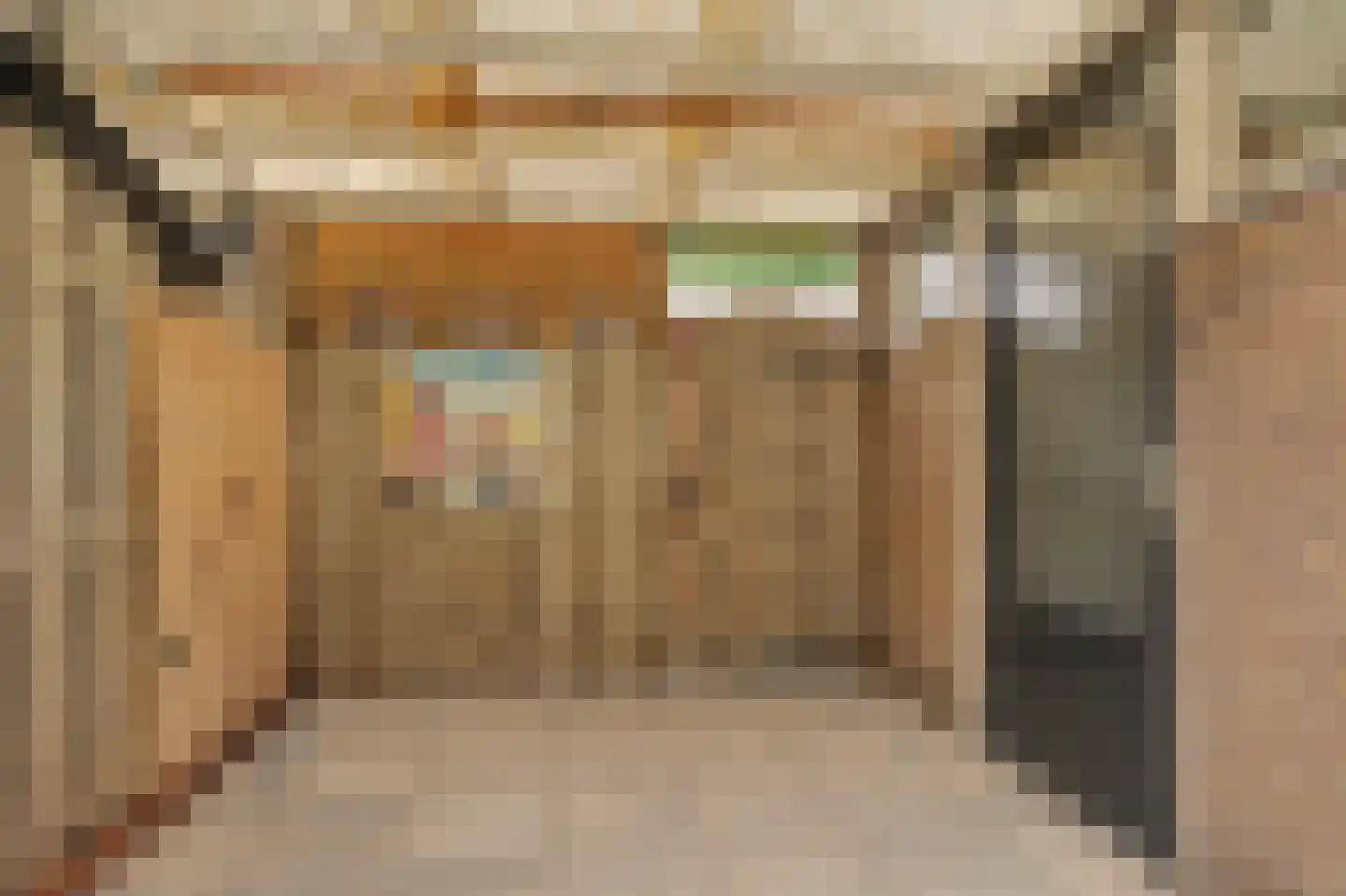 Molenlaan 24 Maasdam thumbnail 22