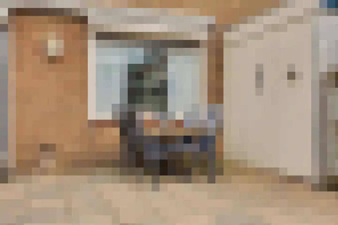 Molenlaan 24 Maasdam thumbnail 24