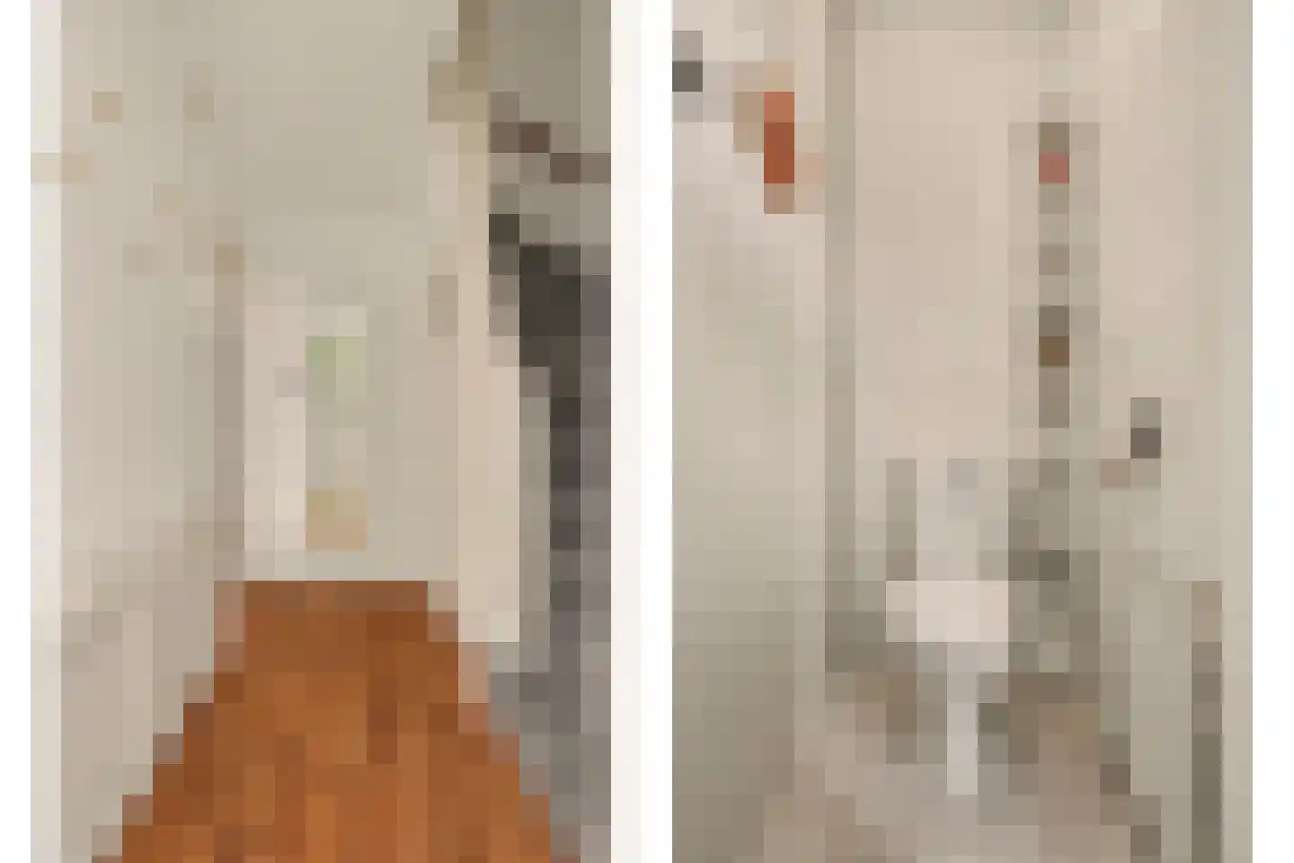 Molenlaan 24 Maasdam thumbnail 5