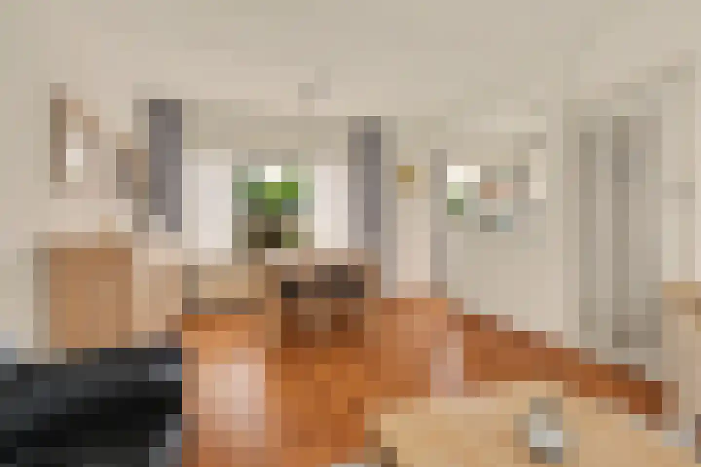 Molenlaan 24 Maasdam thumbnail 8