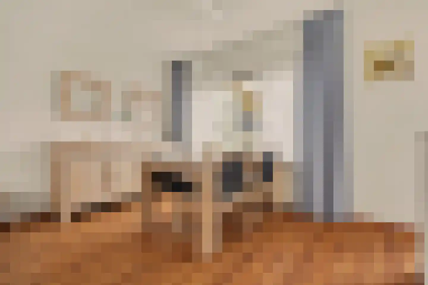 Molenlaan 24 Maasdam thumbnail 9