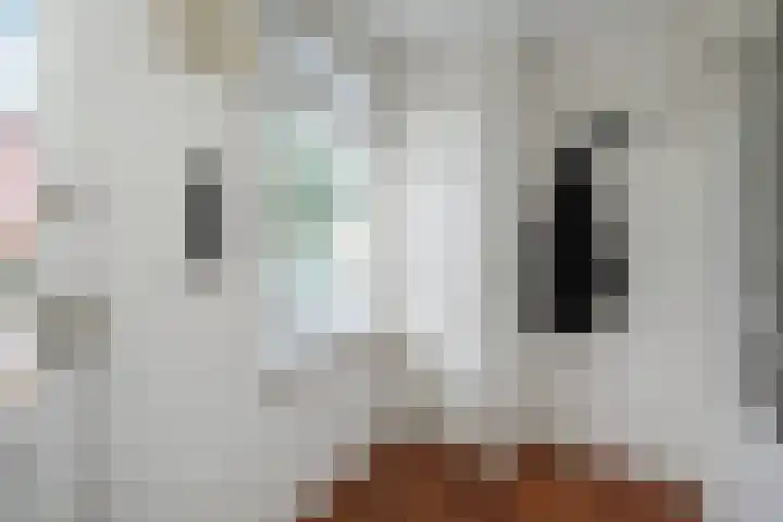 Molenlaan 25 Voorschoten thumbnail 15