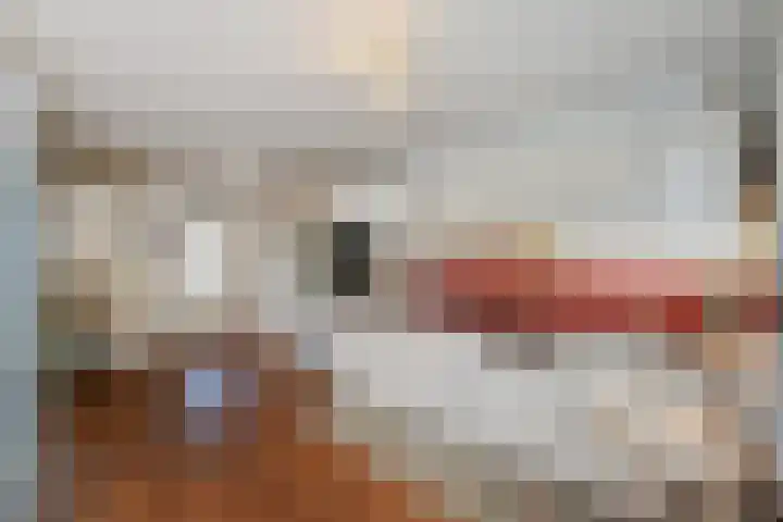 Molenlaan 25 Voorschoten thumbnail 25