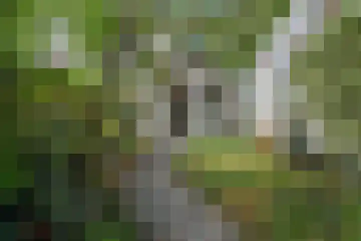 Molenlaan 25 Voorschoten thumbnail 31