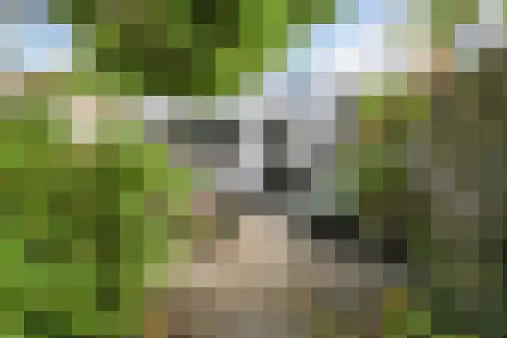 Molenlaan 25 Voorschoten thumbnail 32