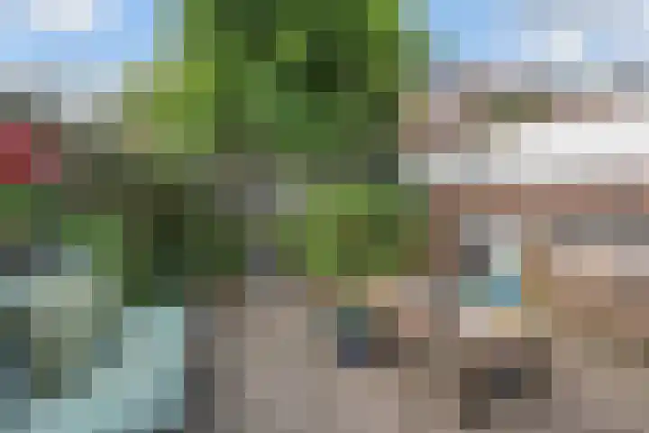 Molenlaan 25 Voorschoten thumbnail 33