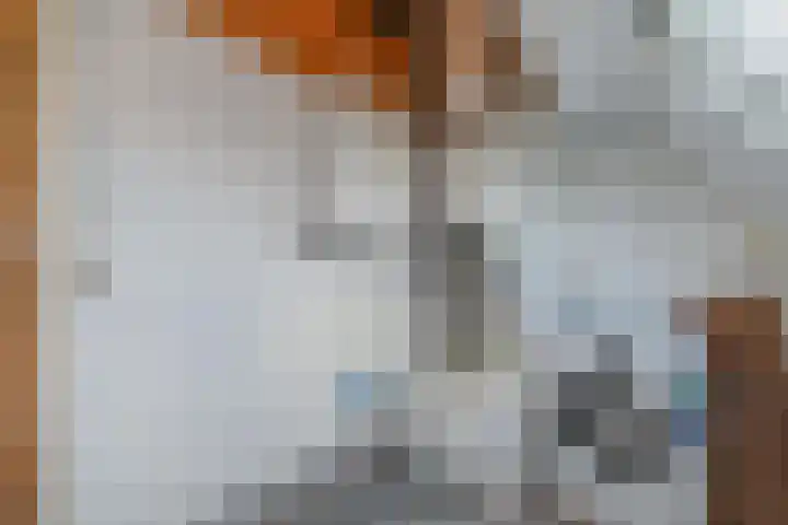 Molenlaan 25 Voorschoten thumbnail 46