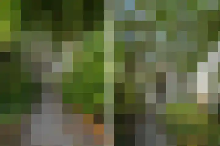 Molenlaan 25 Voorschoten thumbnail 48